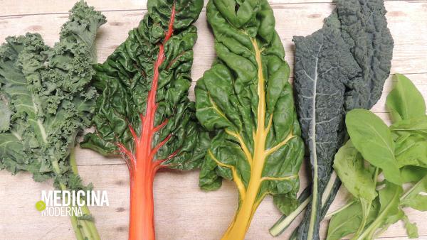 Erbette, cicoria, spinaci & co: proprietà e benefici della verdura a foglia verde. 